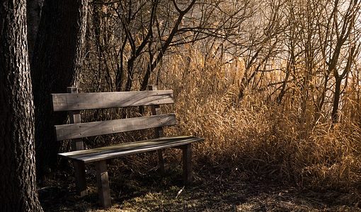 Meer Staelduinse bos samen met ‘begraafnatuur”? Meer Staelduinse bos samen met ‘begraafnatuur”?
